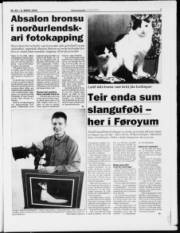 Síða 7
