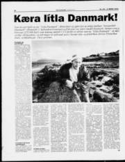 Síða 13