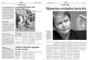 Síða 13