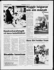 Síða 3