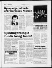 Síða 5