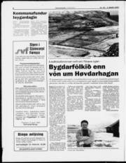Síða 8