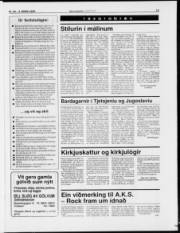 Síða 15