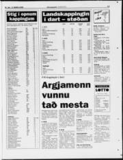 Síða 19