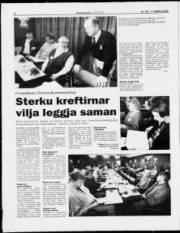 Síða 8