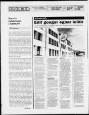 Síða 2