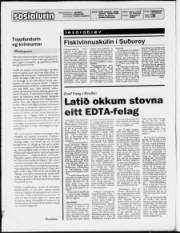 Síða 2