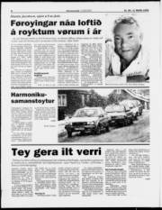 Síða 8