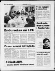 Síða 3