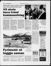 Síða 7