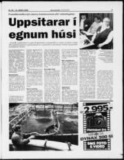 Síða 5