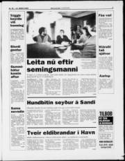 Síða 3