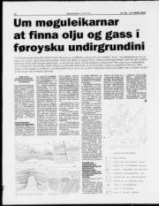 Síða 12