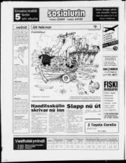 Síða 24