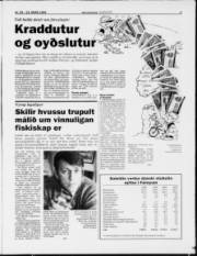 Síða 3