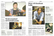 Síða 13