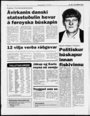 Síða 6