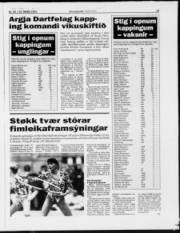 Síða 15