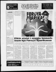 Síða 20