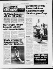 Síða 17