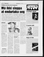 Síða 19