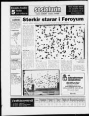 Síða 24