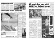 Síða 3