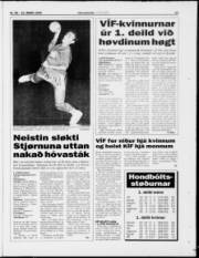 Síða 17