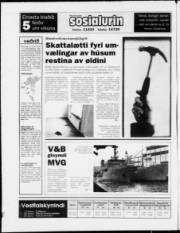 Síða 24