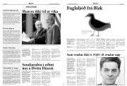Síða 7