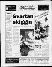 Síða 24