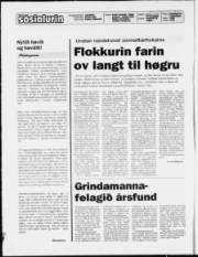 Síða 2