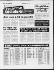 Síða 11