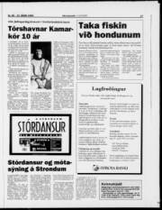 Síða 17