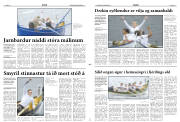 Síða 11