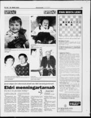 Síða 23