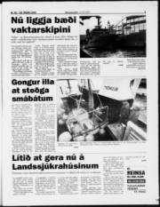 Síða 5