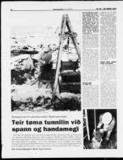 Síða 12