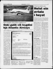 Síða 3