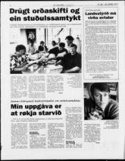 Síða 6