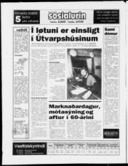 Síða 20