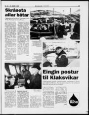 Síða 15