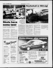 Síða 3