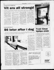 Síða 8