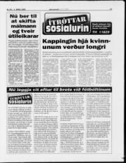 Síða 13