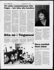 Síða 11