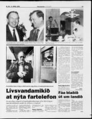 Síða 13