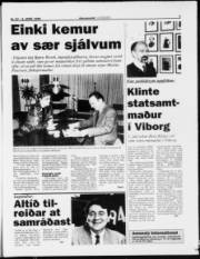 Síða 3