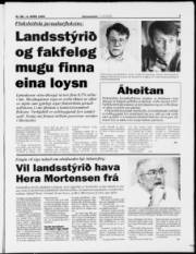 Síða 3
