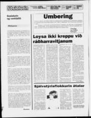 Síða 2